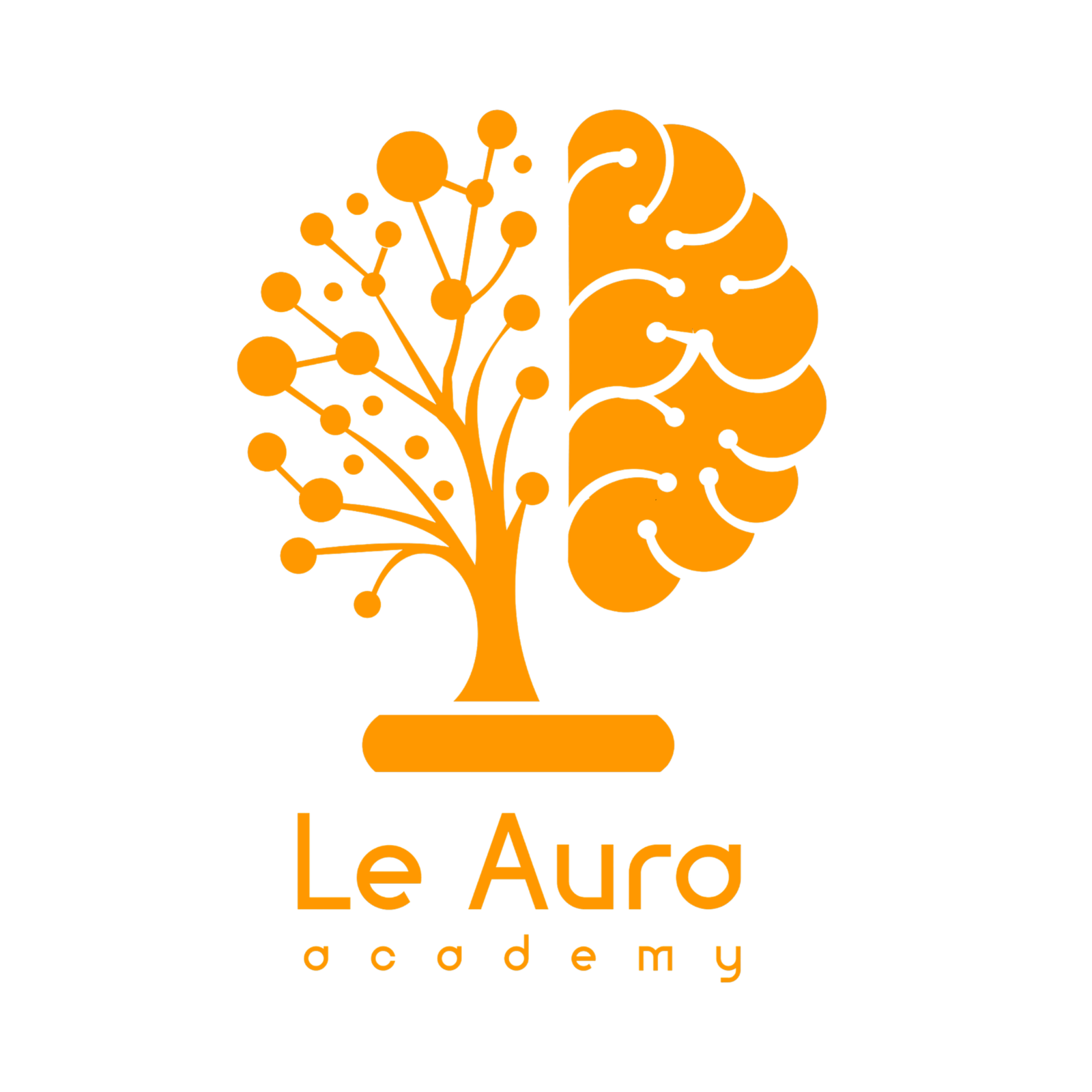 Le Aura Academy